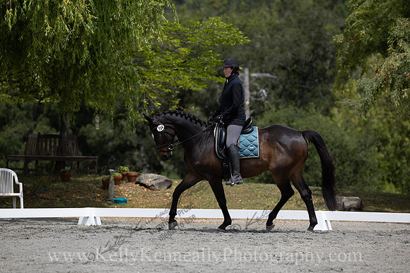 FFDressage23-2316