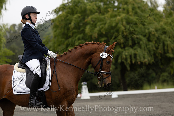 FFDressage23-0685