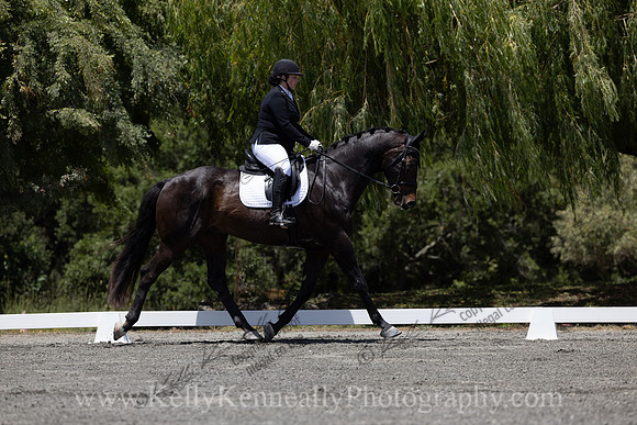 FFDressage23-3827
