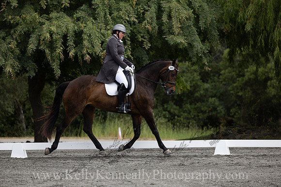 FFDressage23-00121