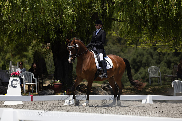 FFDressage23-00229