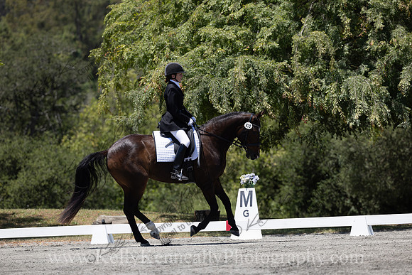 FFDressage23-00266