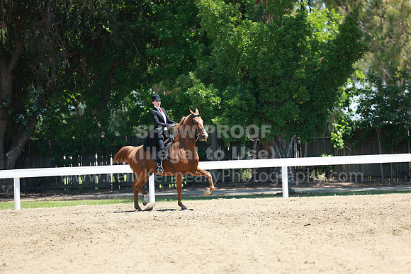 DAHA23_Fri_1096
