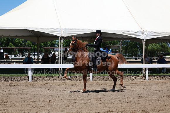DAHA23_Fri_1280