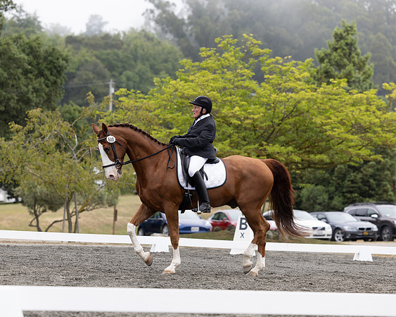 FFDressage23-1531