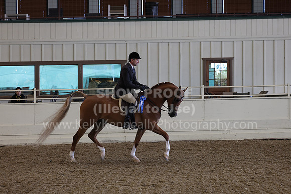 AHANC23_Wed_0430