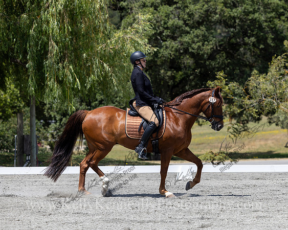 FFDressage23-4921