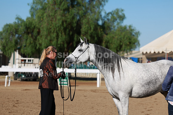 DAHA23_Fri_0106