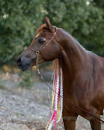 CorrineUnicorn_640