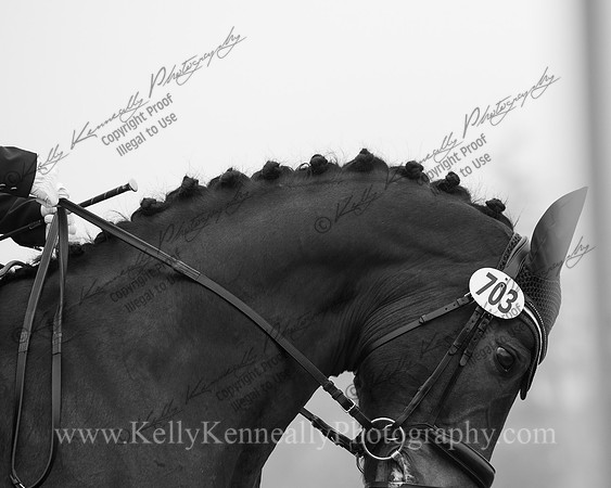FFDressage23-0267