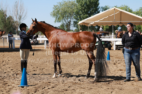 DAHA23_Sat_4235