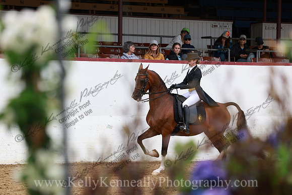 R2CH23_Thurs_6593