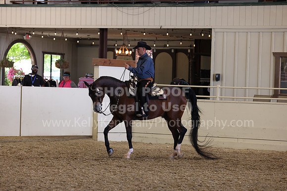 AHANC23_Thurs_2025
