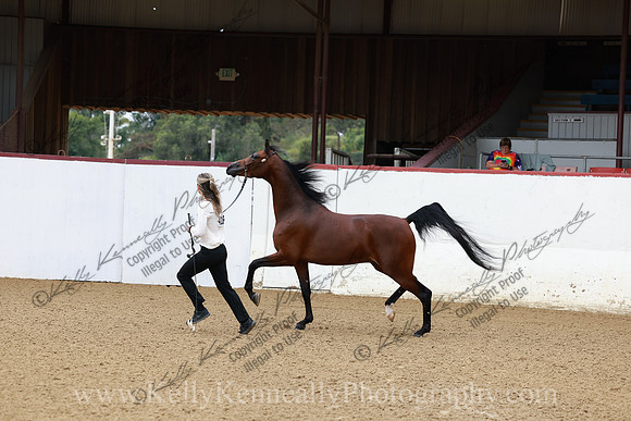 R2CH23_Thurs_0390