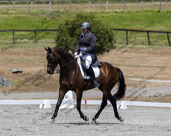 FFDressage23-5316
