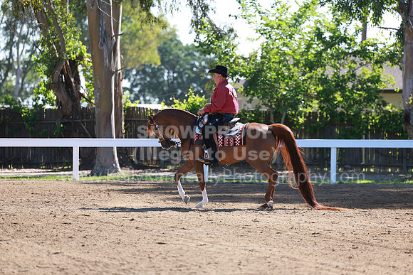 DAHA23_Fri_0255