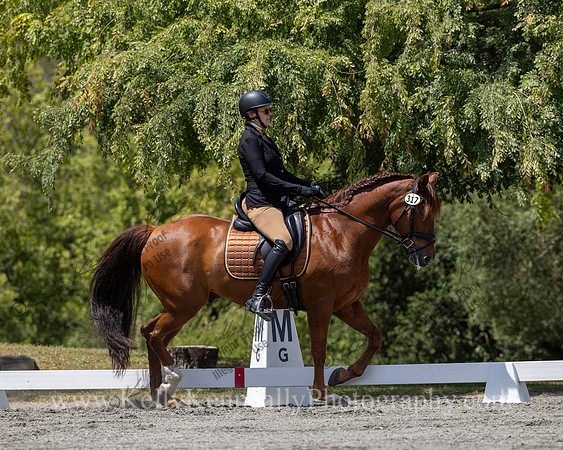 FFDressage23-4646