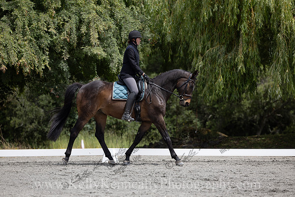 FFDressage23-2231