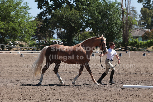 R3_SHC23_B_Sun_00474