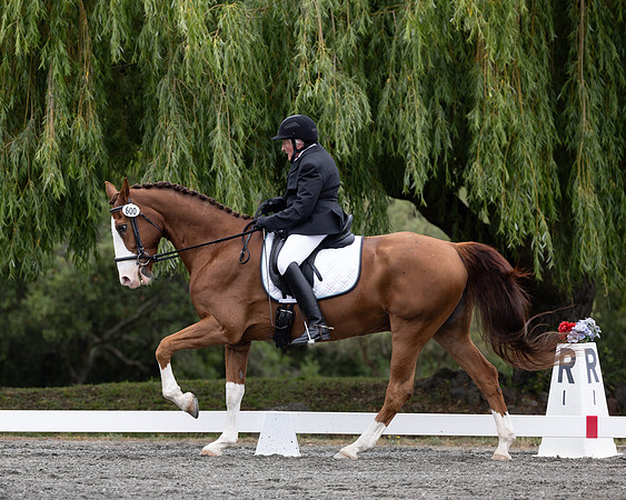 FFDressage23-1821