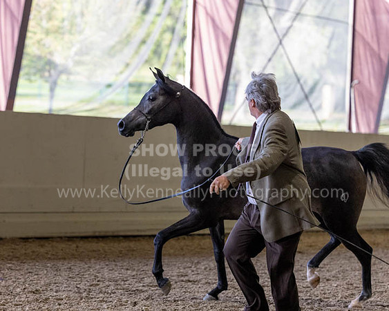 PacSlopeCh23_Fri_7114