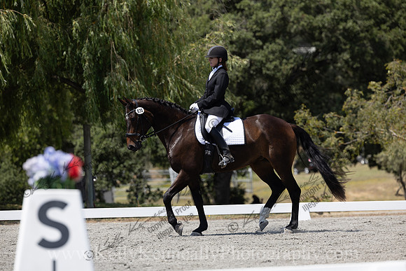 FFDressage23-00299