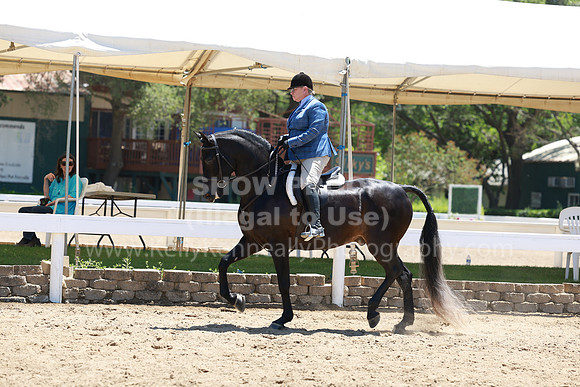DAHA23_Sun_9579