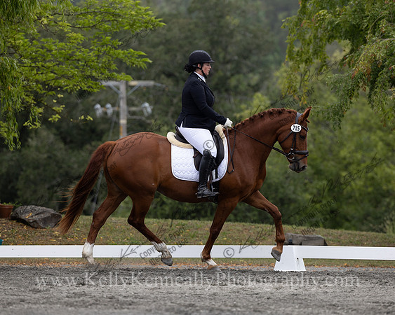 FFDressage23-1315