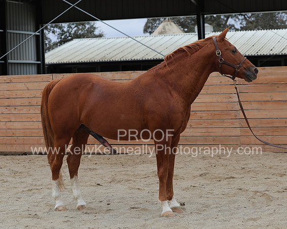 DocFall26_6293