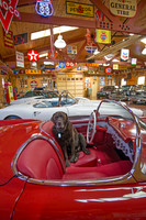 ShermanRanchDogs2015_0936