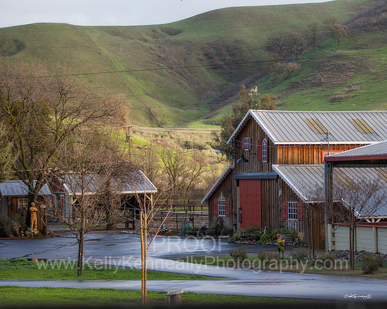 2DAHA_Party_Barn014