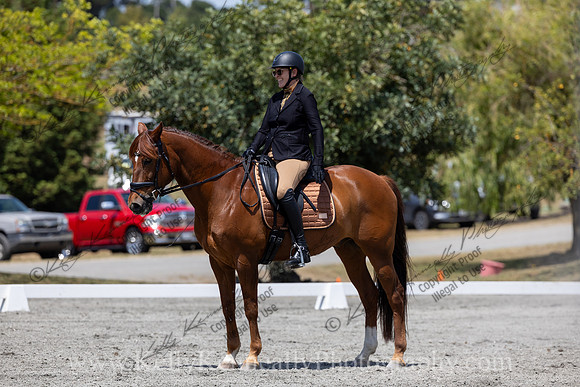 FFDressage23-4945