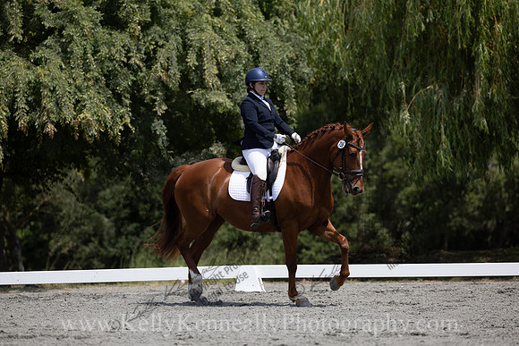 FFDressage23-00169