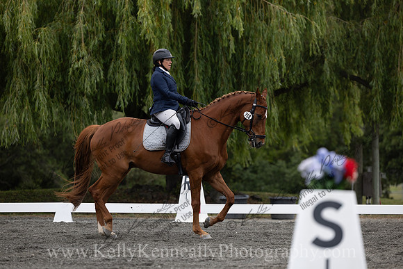 FFDressage23-1070
