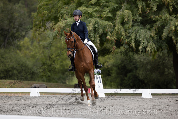 FFDressage23-2181