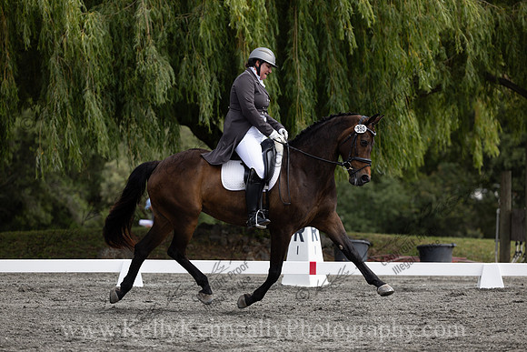 FFDressage23-00133