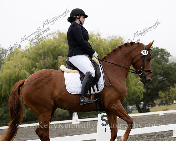 FFDressage23-1239