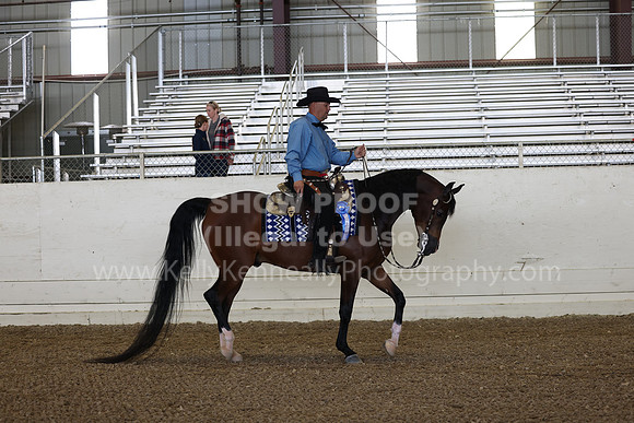 AHANC23_Wed_1107
