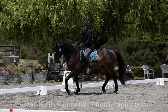 FFDressage23-2830