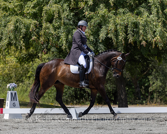 FFDressage23-5342