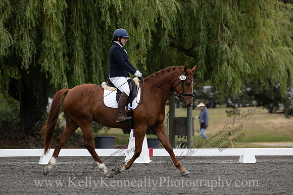 FFDressage23-00079