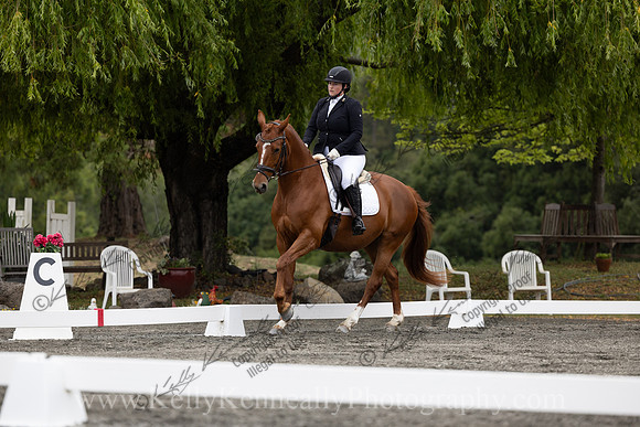 FFDressage23-1415