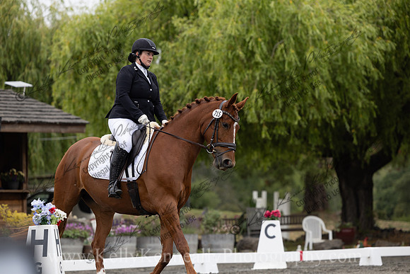 FFDressage23-1277
