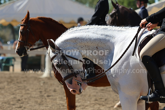 DAHA_FF22_2623