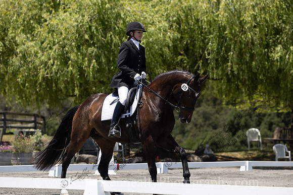 FFDressage23-00263