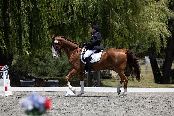 FFDressage23-3276