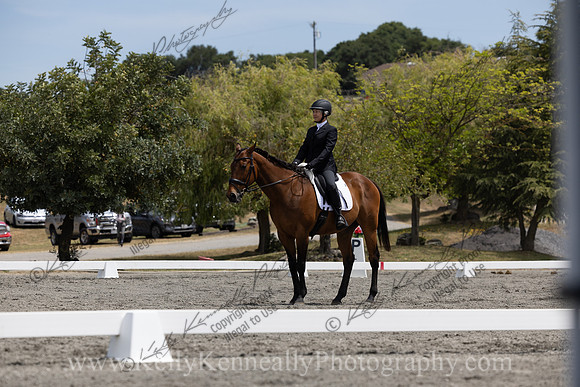 FFDressage23-2523