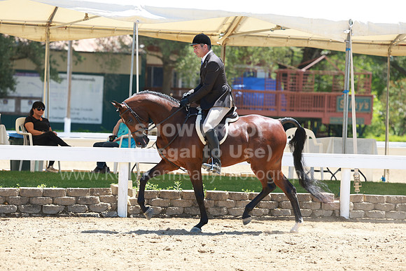 DAHA23_Sun_9575