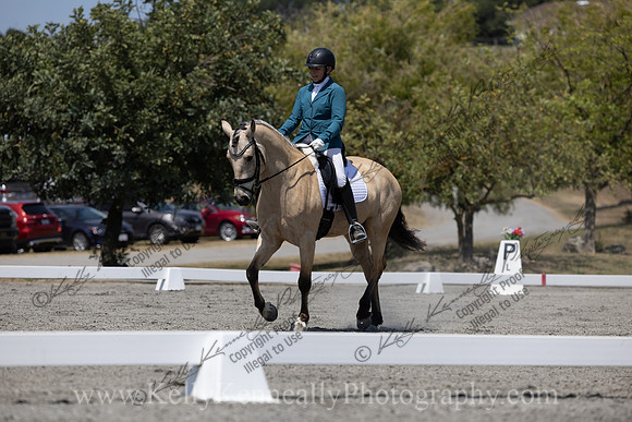 FFDressage23-00296