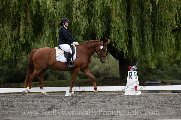 FFDressage23-1389